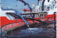 Photo of Cooke Aquaculture Photo of Cooke Aquaculture